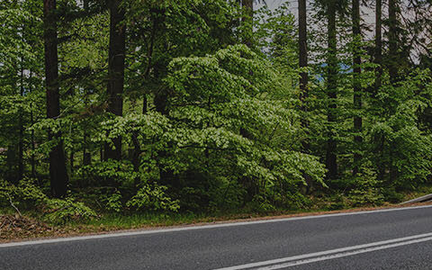 Winding road
